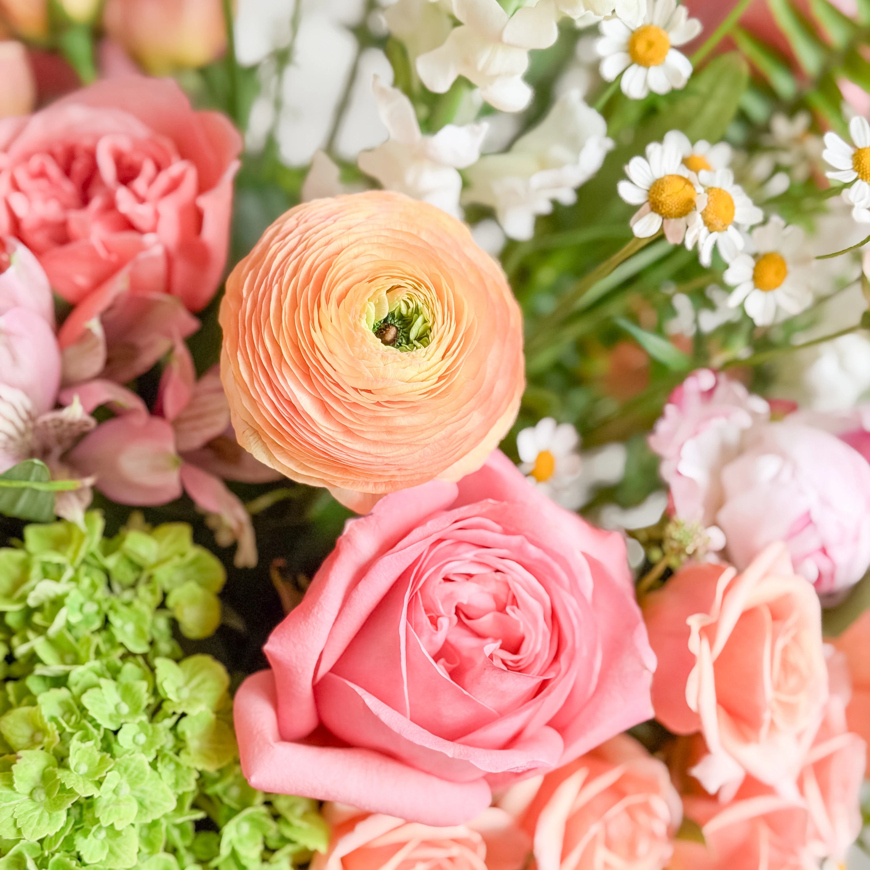 Close-up of a bouquet of flowers including pink roses, peach ranunculus, and green hydrangea.