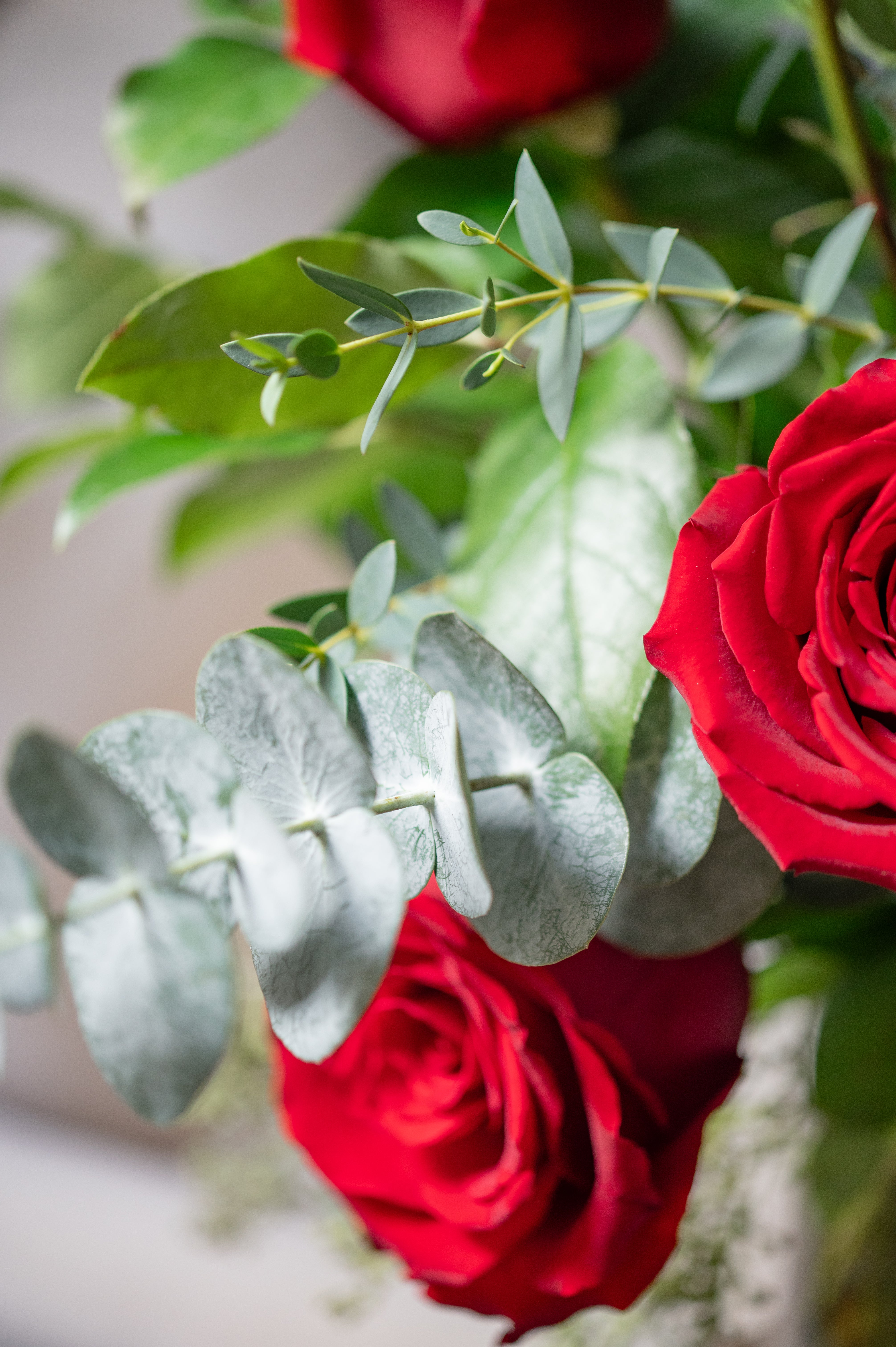 THE ROSE ARRANGEMENT