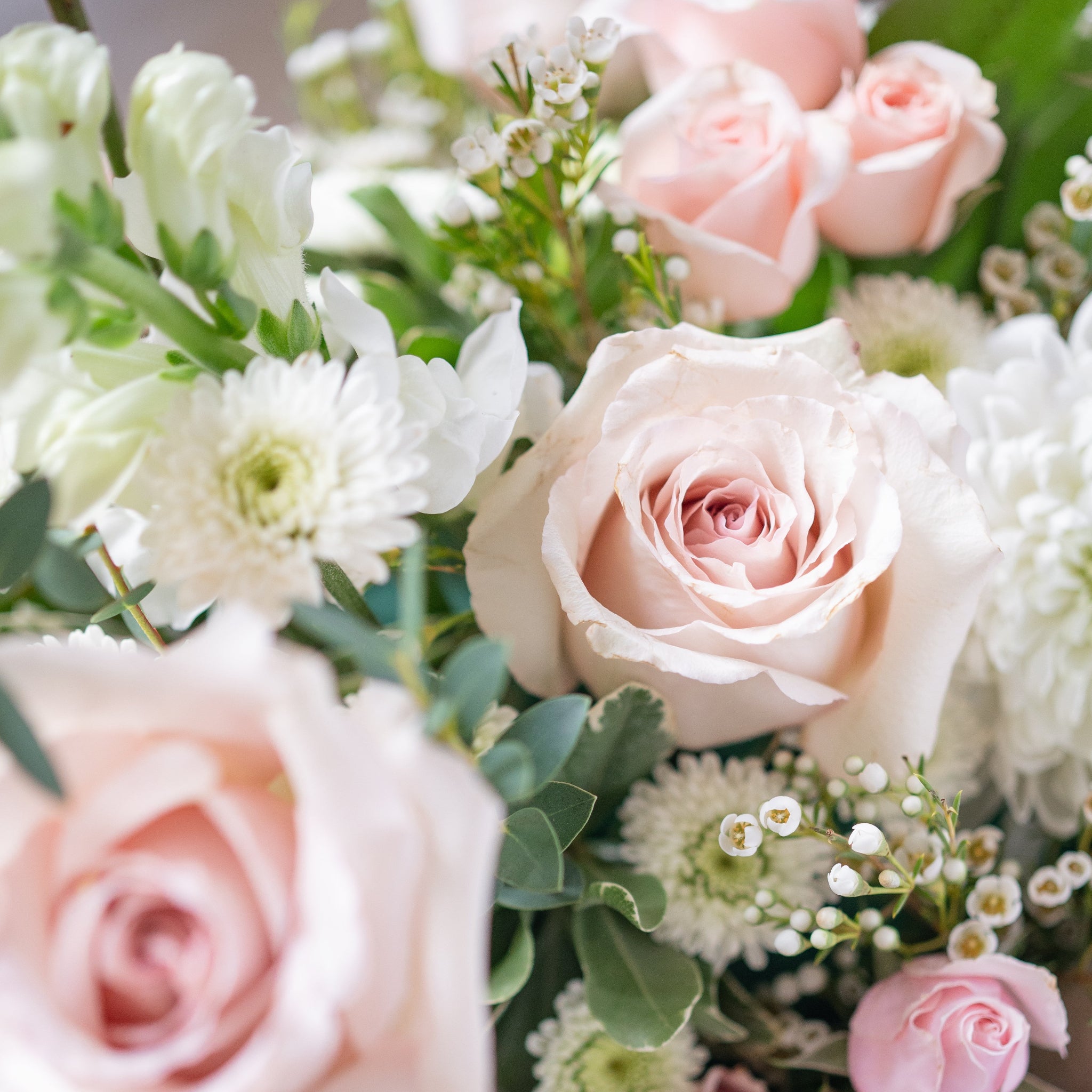 Bouquet of pink and white roses with greenery
