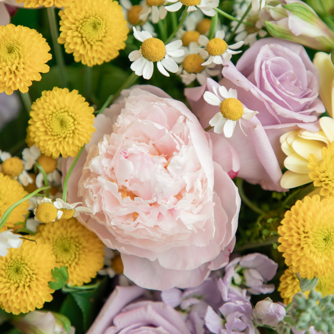 Lavender Honey bouquet by Lovebird Flowers featuring pink peonies, lavender roses, chamomile, yellow button mums, purple stock.