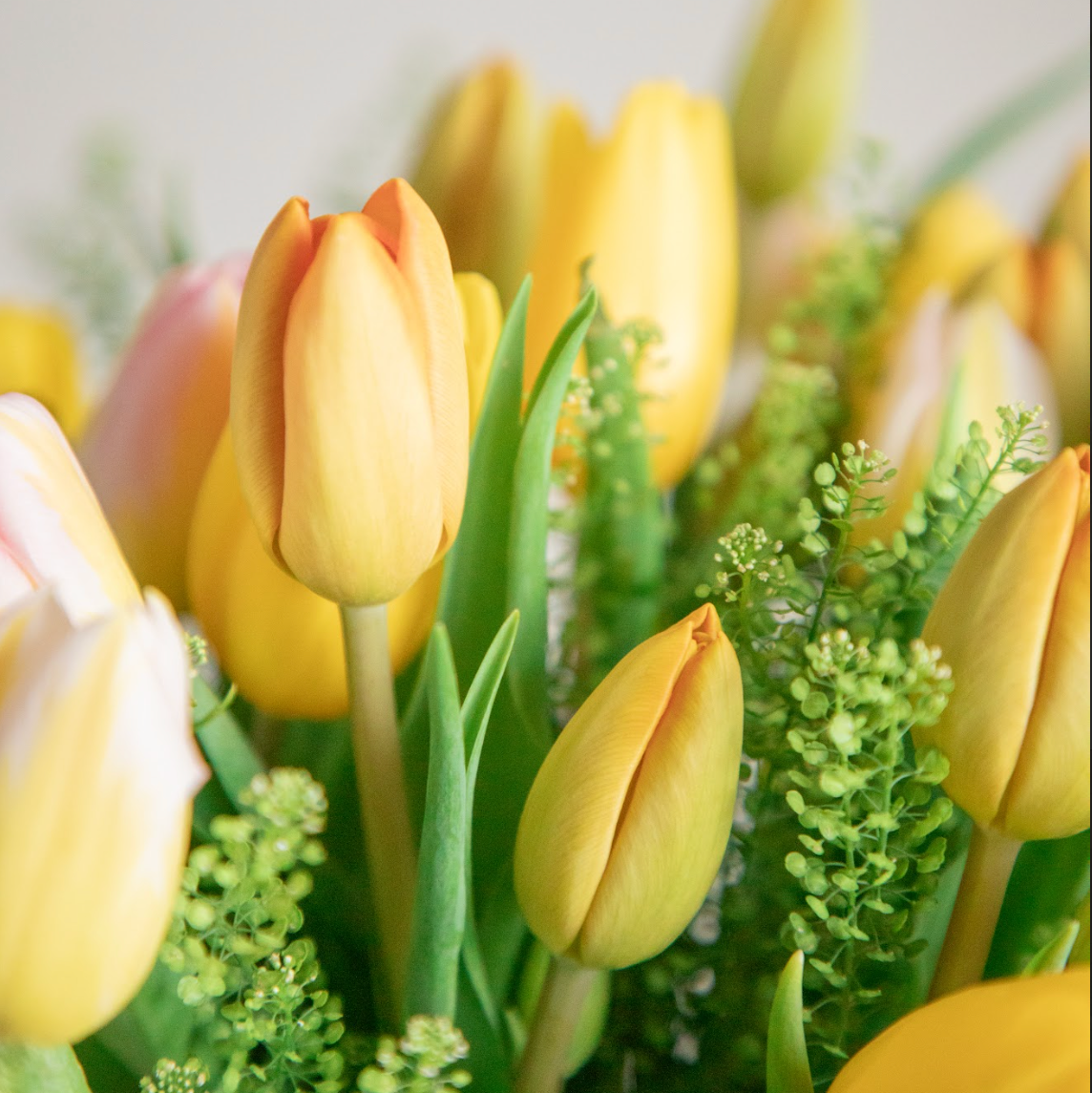 LOVE YOU FOREVER | Assorted Tulip Arrangement