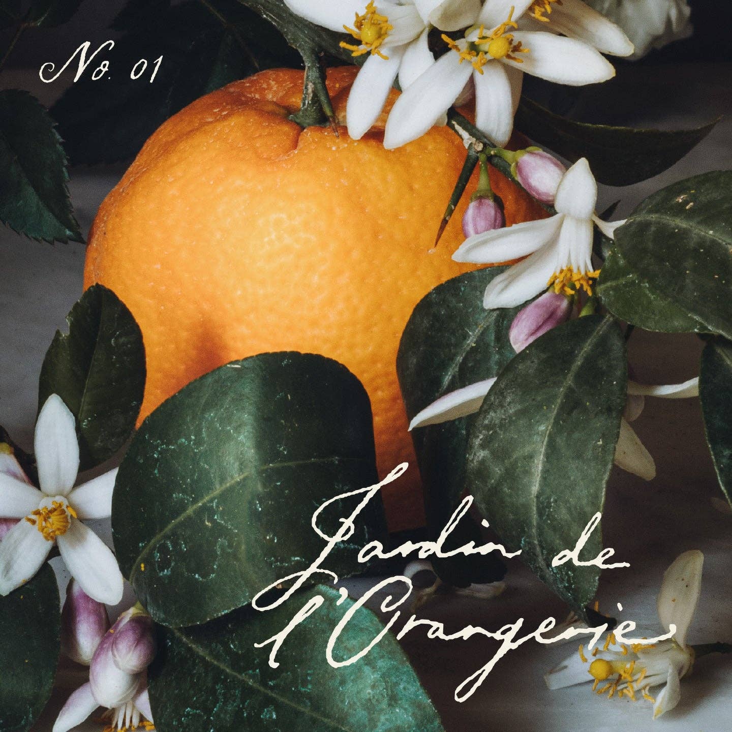 French Citrus Scented Candle • Jardin de l'Orangerie