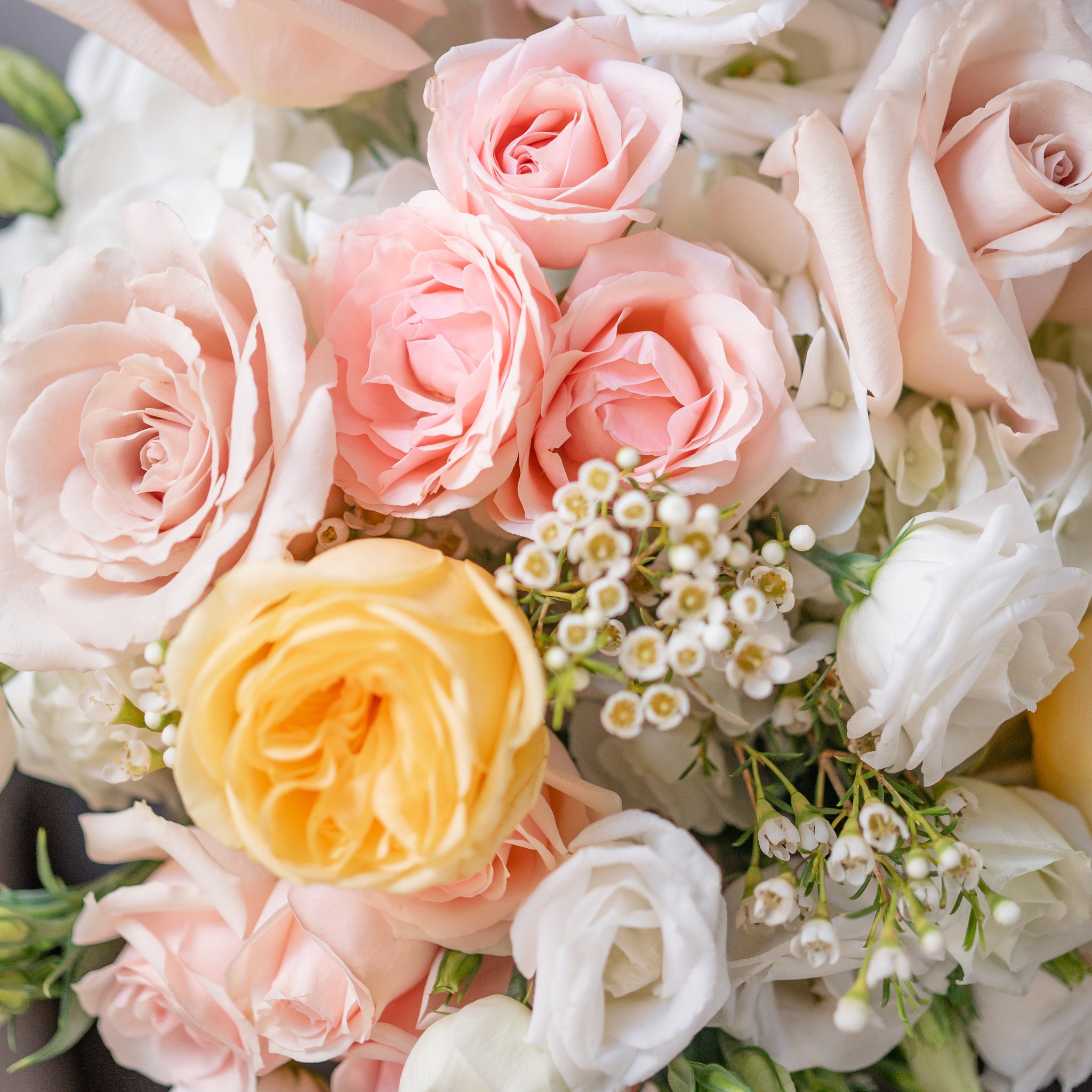 close up of pink spray roses, wax flower, white lisianthus and yellow buttercup roses from Lovebird Flowers