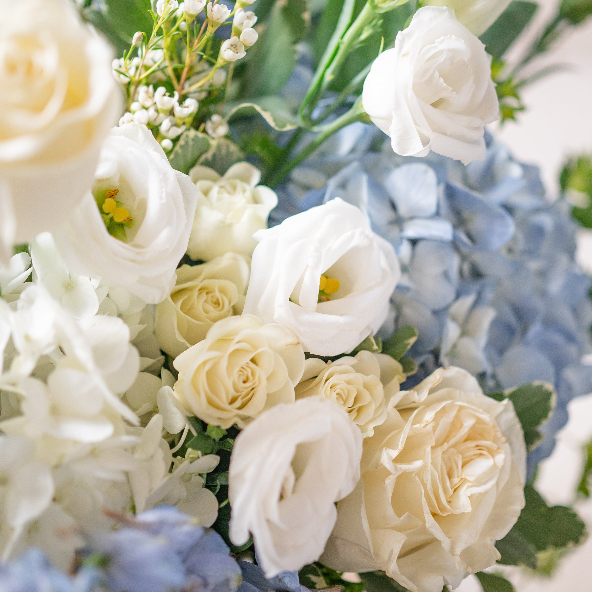 Close-up of a bouquet with white roses and lisianthus, and light blue hydrangea
