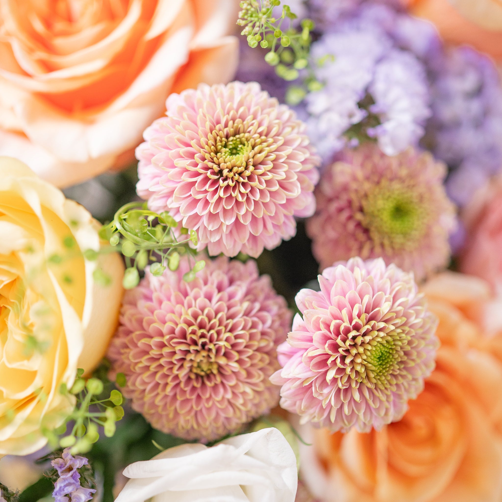 close-up of pastel flowers including pink button mums, buttercup roses, peach roses and lavenderstatice