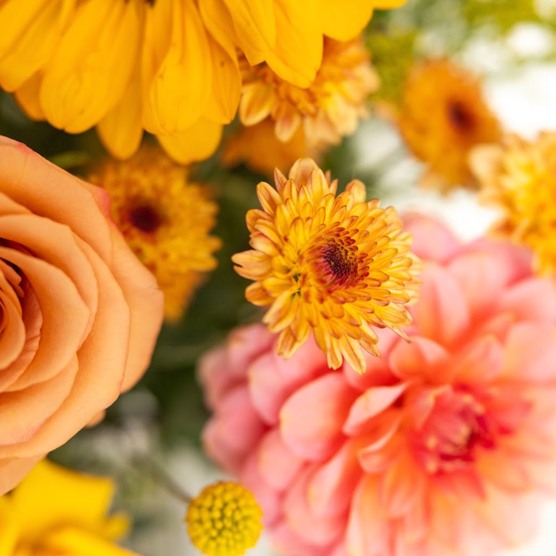 bright fall flower arrangement close up of mums and peach dahlias