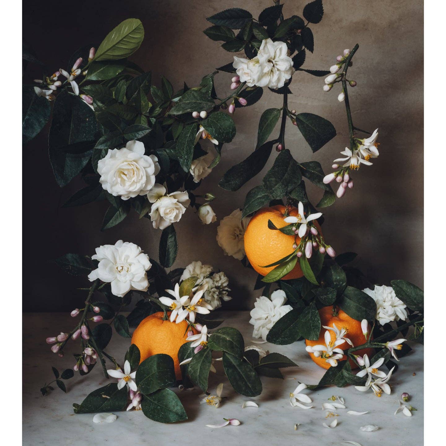 French Citrus Scented Candle • Jardin de l'Orangerie