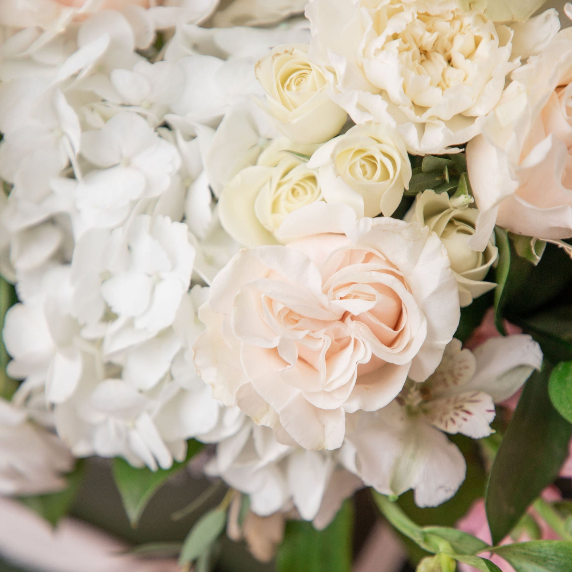 Close-up of the Always & Forever Valentine's arrangement featuring white roses, hydrangeas, and blush pink blooms from Lovebird Flowers in London, Ontario