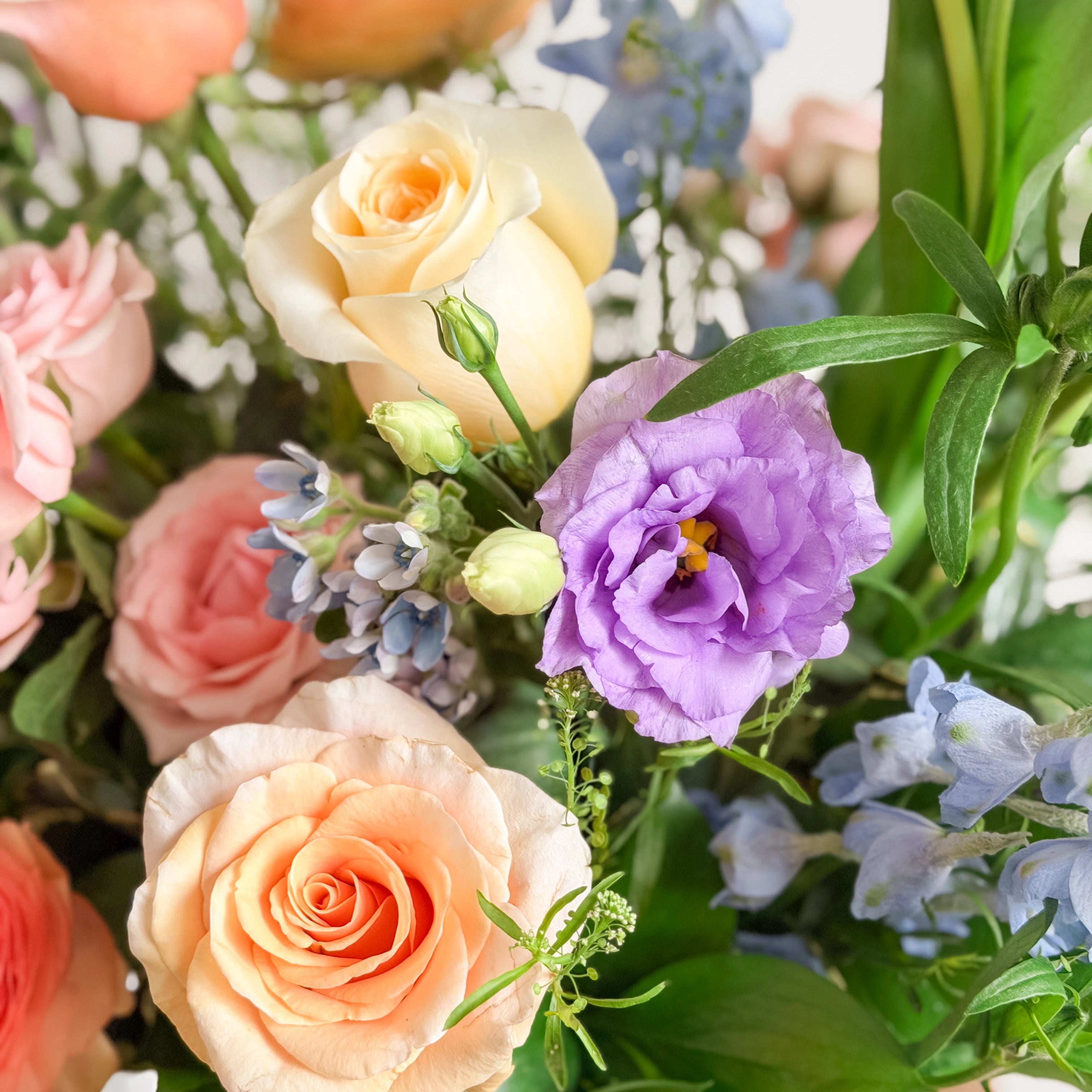 Bouquet of colorful flowers including roses and hydrangeas with a blurred background