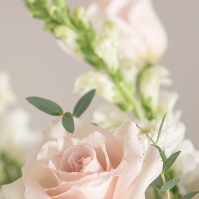 Close-up of a floral arrangement with white and pink flowers on a blurred background