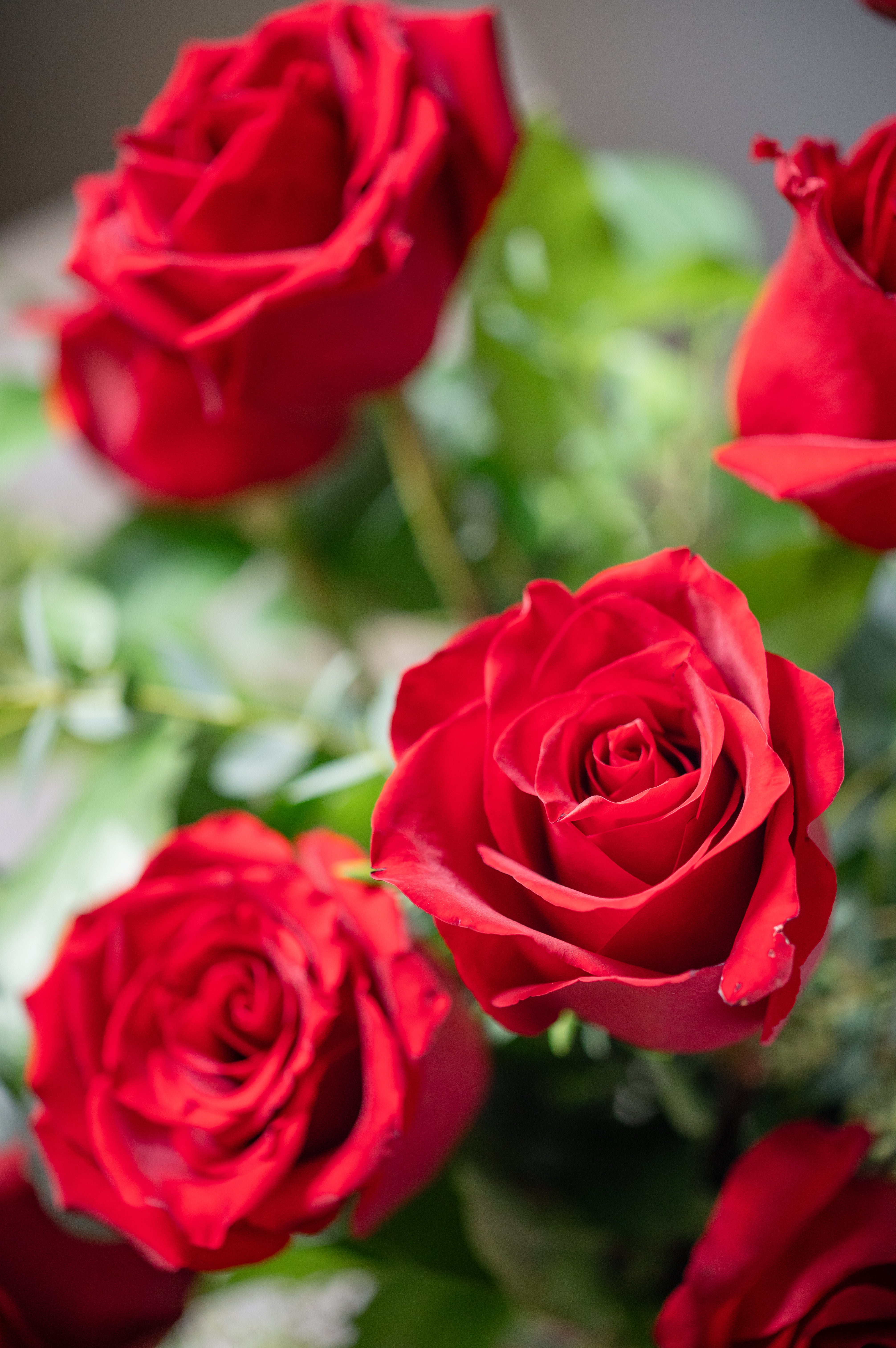 THE ROSE ARRANGEMENT