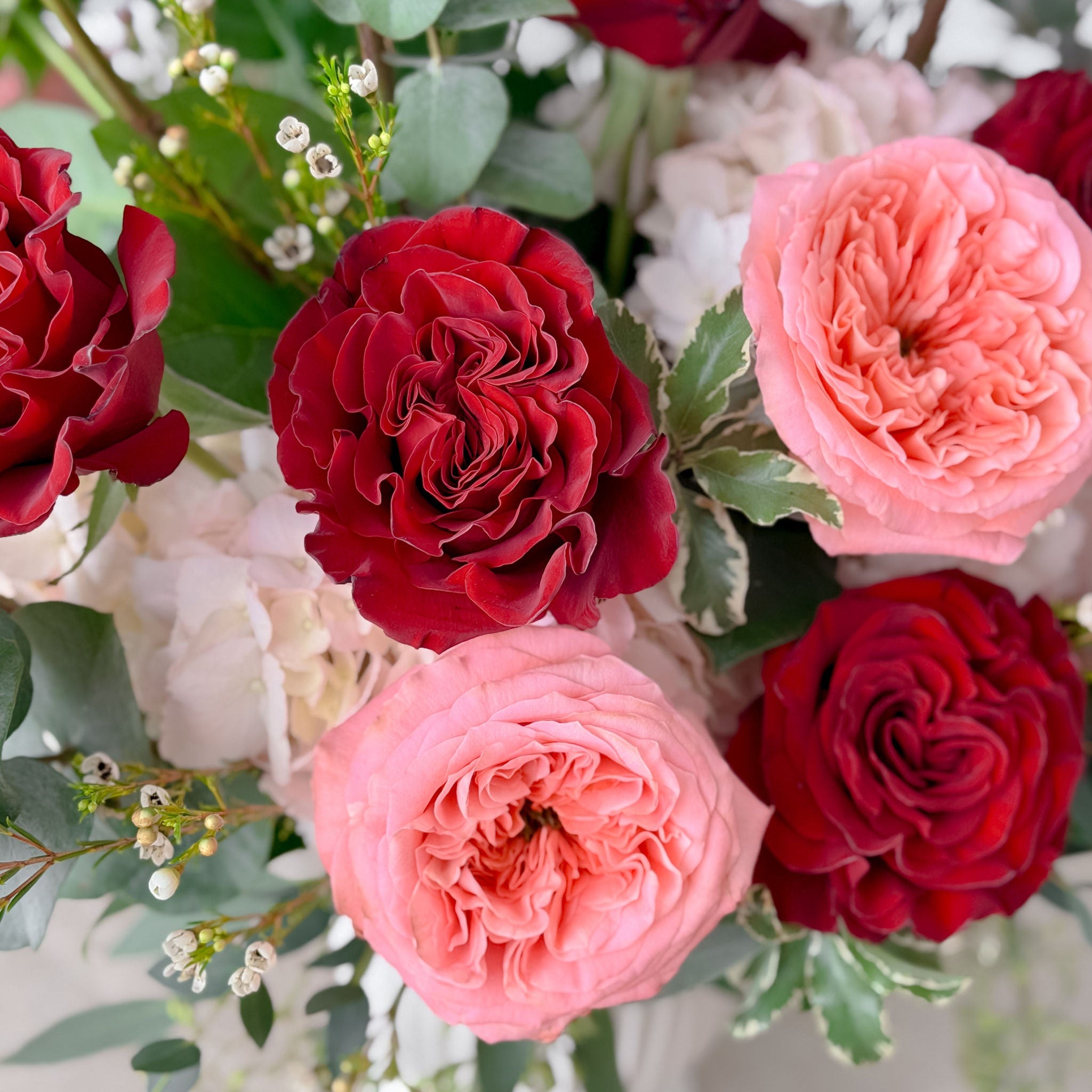 Bouquet of red and pink roses with greenery on a light background