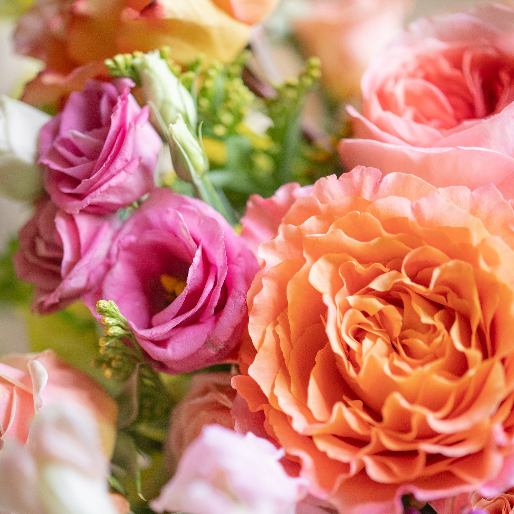 Close-up of a bouquet of colorful flowers including pink lisianthus, orange free spirit roses, pink expression roses, pink wax flower and golden rod