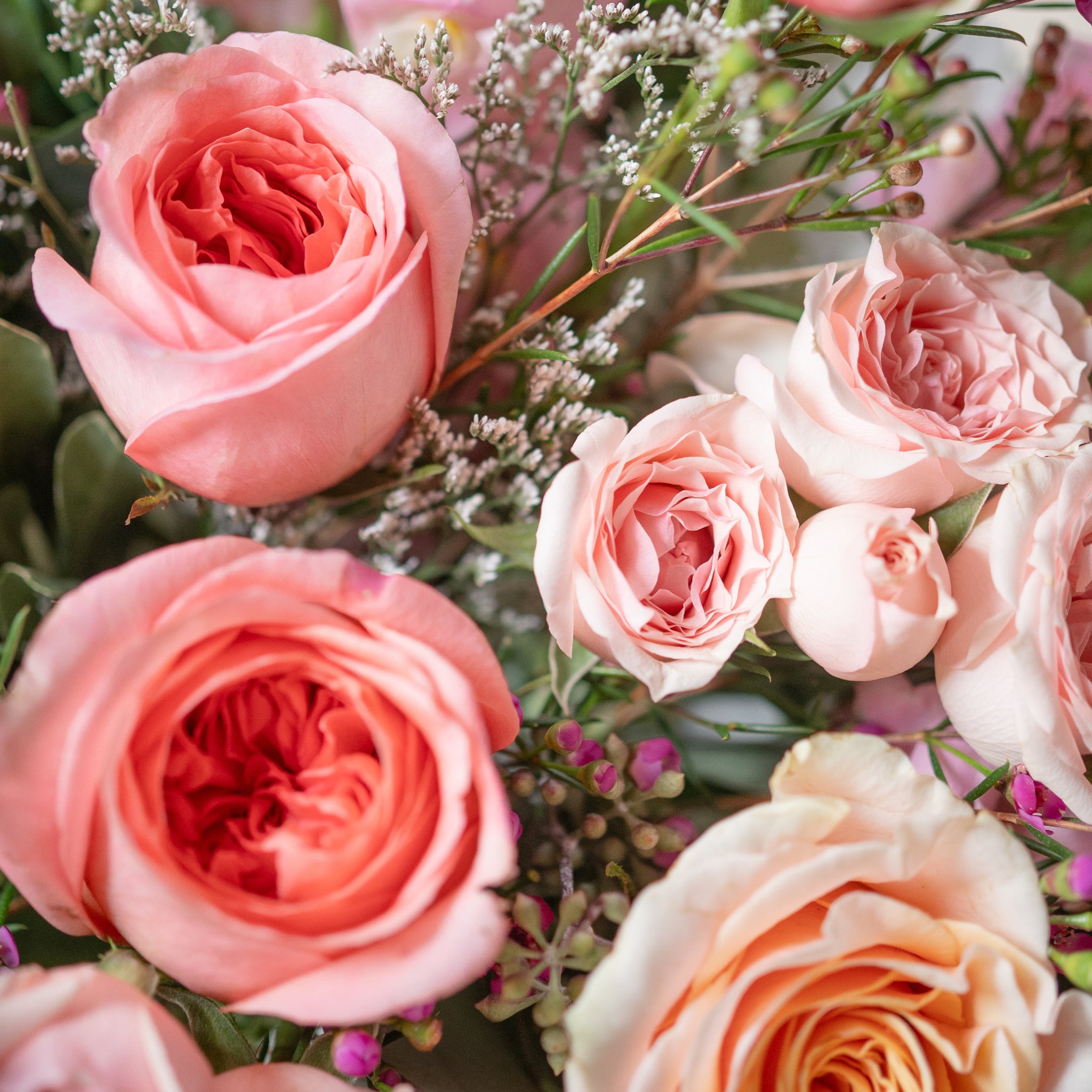 closeup of peach and pink roses and spray roses with limonium from Lovebird Flowers