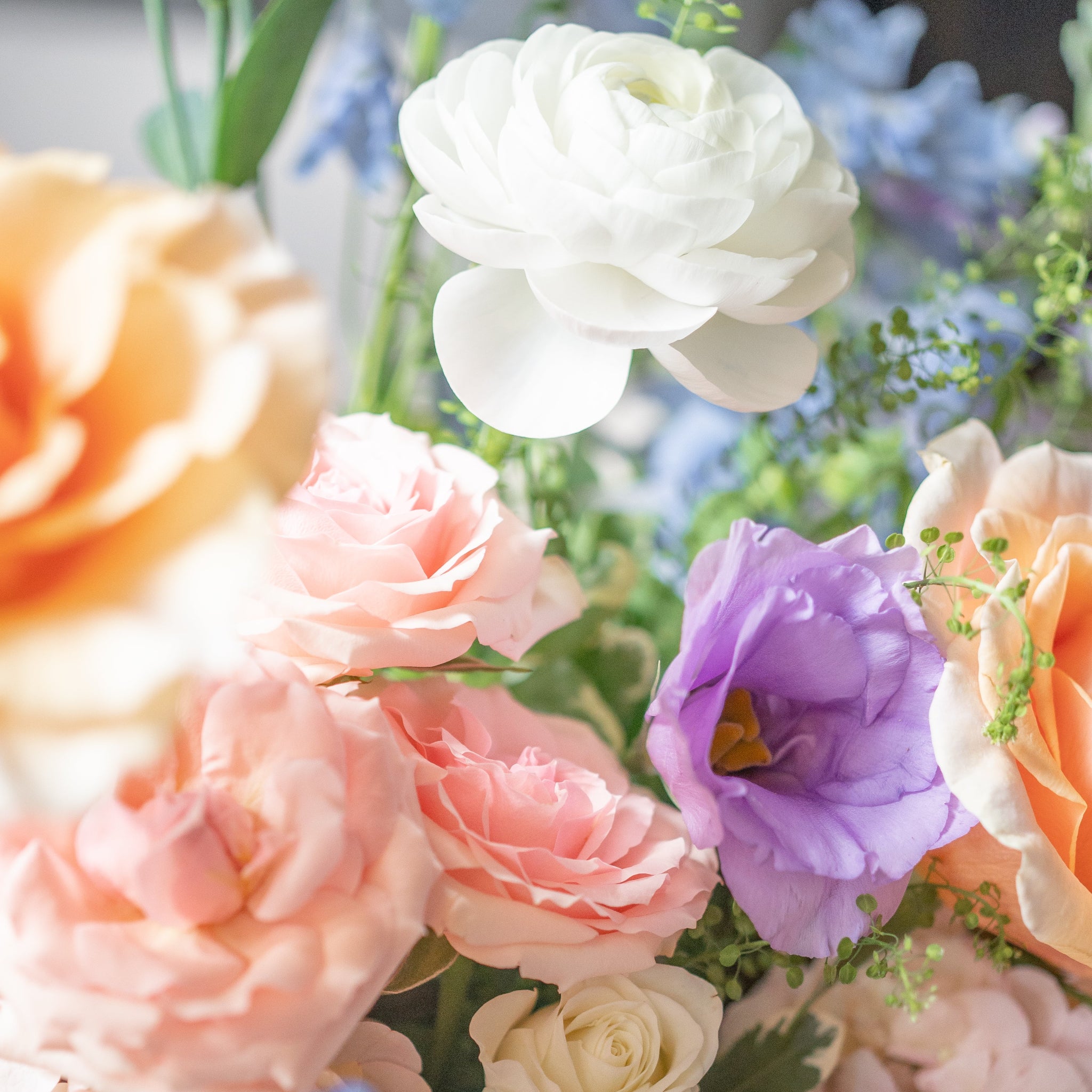 close up of white ranunculus, lavender lisianthus and pink spray roses