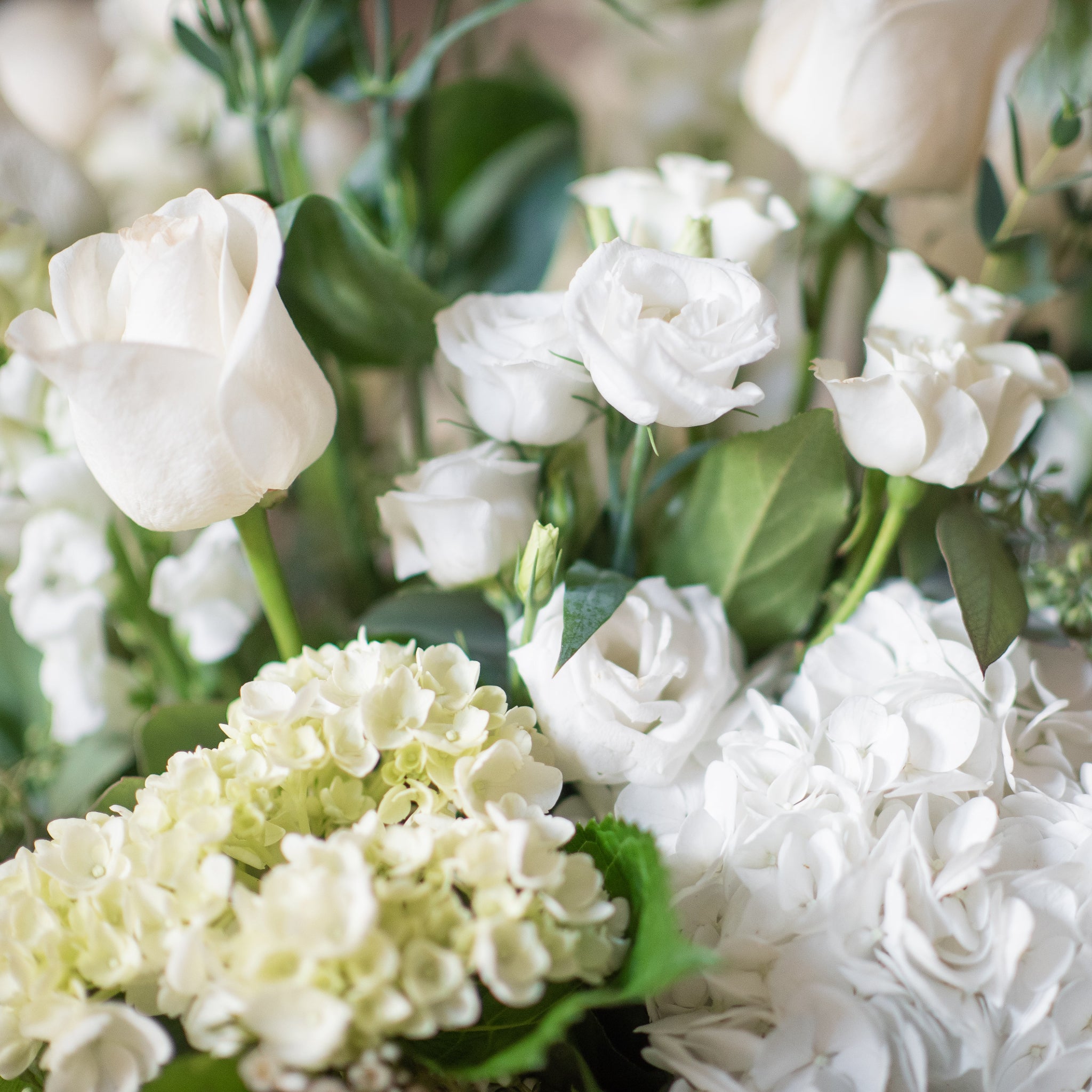 close up of white hydrangea, white rose, white lisianthus