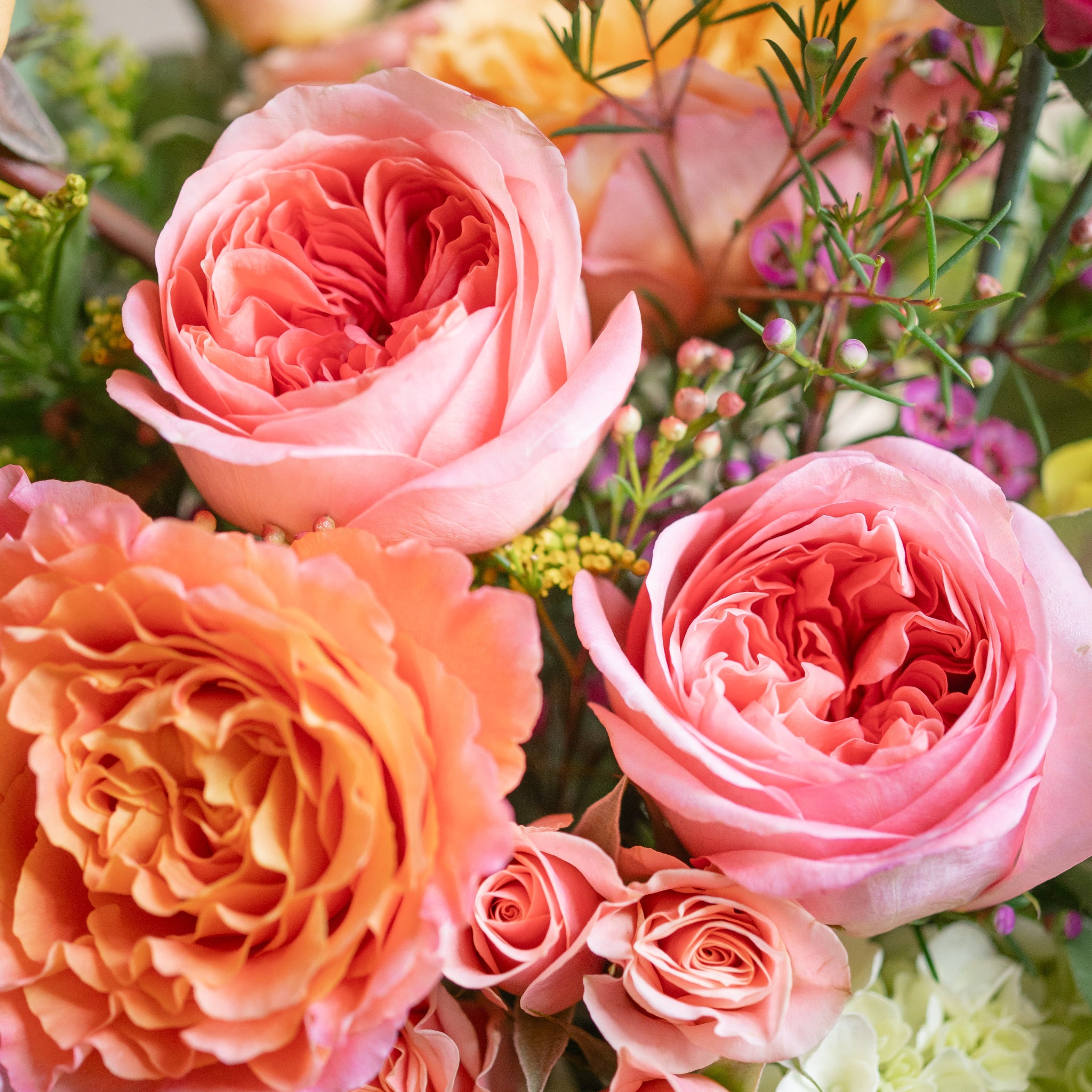 Close-up of a bouquet of pink expression roses, orange free spirit roses, and green flowers.